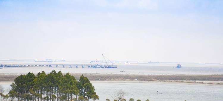 上海东方酒楼(浦东国际机场店)图片