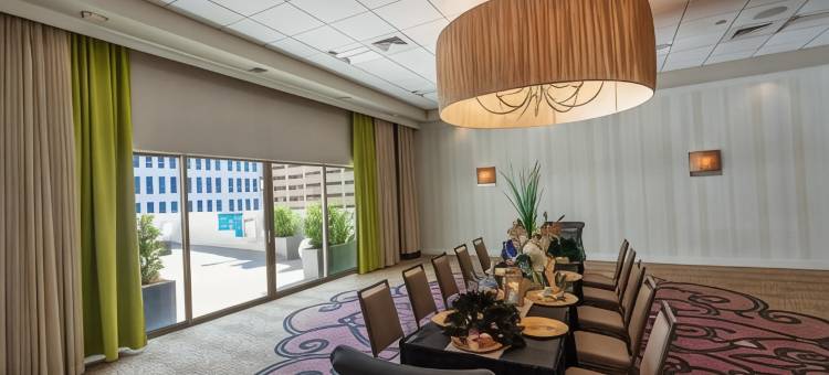 新奥尔良市区超圆屋顶体育场假日酒店(Holiday Inn NEW ORLEANS-DOWNTOWN SUPERDOME by IHG)图片