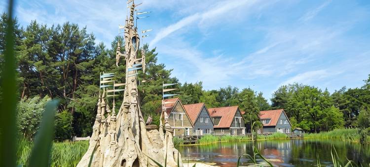 艾夫特琳博斯瑞克 - 包含主题公园门票(Efteling Bosrijk - Theme Park tickets included)图片