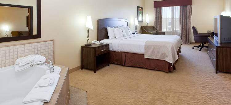 丹佛E-470/帕克尔路假日酒店(Holiday Inn DENVER-PARKER-E470/PARKER RD by IHG)图片