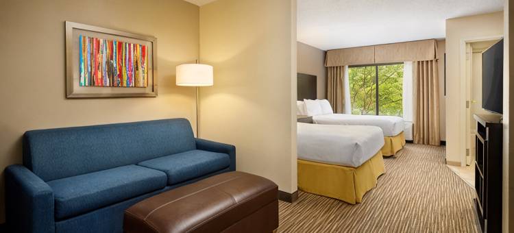 阿尔普哈雷塔智选假日酒店(Holiday Inn Express & Suites ALPHARETTA - WINDWARD PARKWAY by IHG)图片