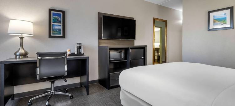 格里尔-格林维尔机场舒适套房酒店(Comfort Inn & Suites Greer - Greenville)图片