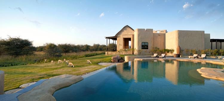 萨巴尼亚岛奥沙希安纳塔拉别墅度假酒店(Anantara Sir Bani Yas Island Al Sahel Villas)图片