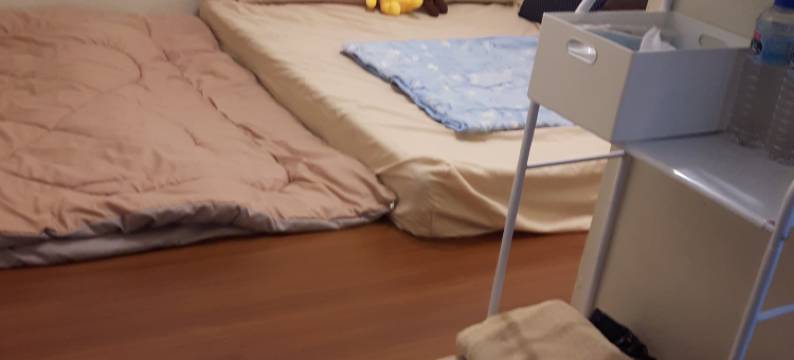 薛女士公寓图片