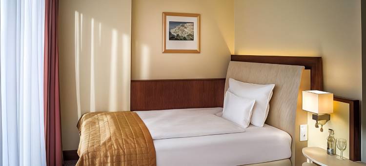 维克多罗登霍夫住宅贝斯特韦斯特优质酒店(Best Western Plus Residenzhotel Lueneburg)图片