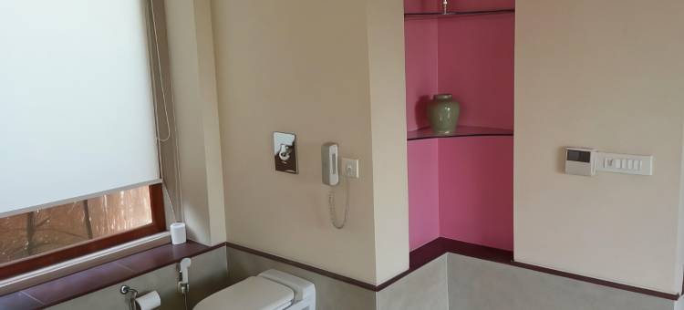 齐普尔生命之树水疗度假村(Tree of Life Resort & Spa Jaipur)图片