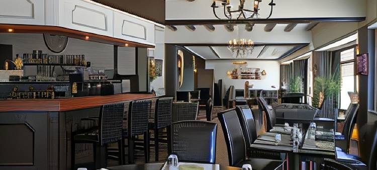 昌浦艾尔萨斯中心酒店(Hotel Champ Alsace)图片