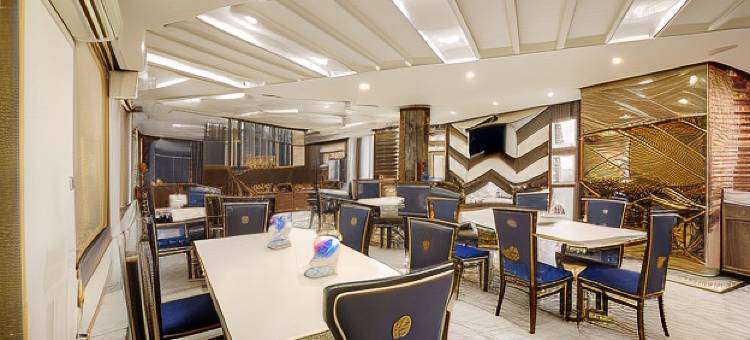 阿尔玛提酒店(Hotel Almati Inn - Near Delhi Airport)图片