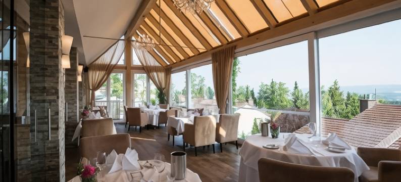 斯坦奈内斯施维辰设计会议酒店及餐厅(Design-Konferenzhotel & Restaurant Steinernes Schweinchen)图片