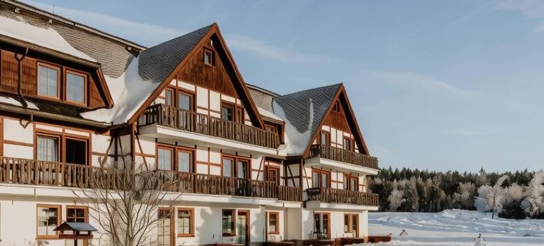 克鲁兹坦瓦尔德酒店酒店(Waldhotel Kreuztanne)图片