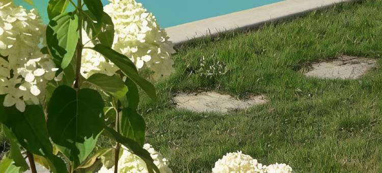 玫瑰人生精品民宿阿登 - 谢兰(La VIE en Rose Boutique B&B Ardennen - Cherain)图片