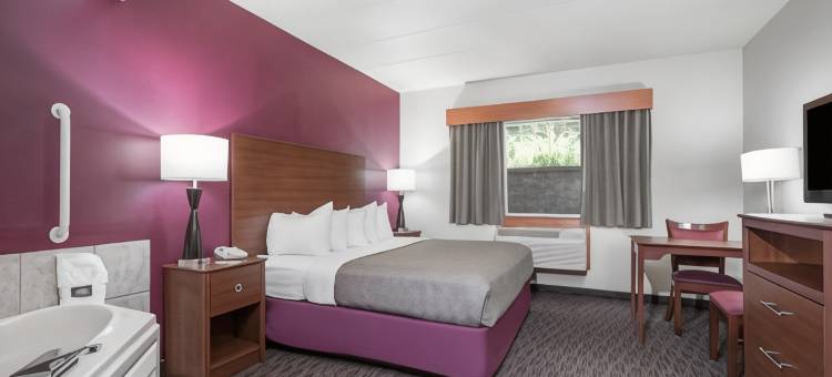 鲍德温温德姆阿美瑞辛酒店(AmericInn by Wyndham Baldwin)图片