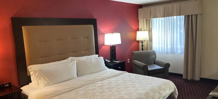 多佛温德姆花园酒店(Wyndham Garden Dover)图片