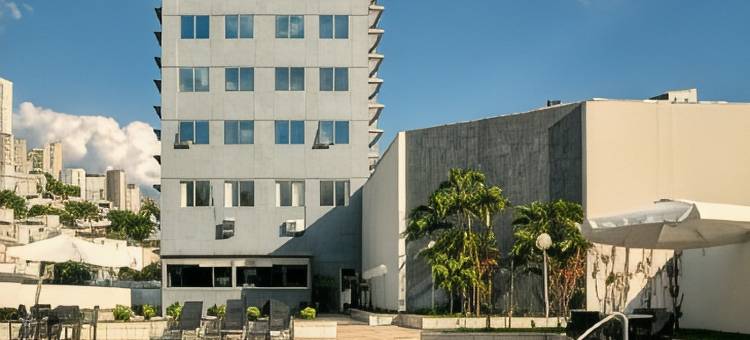 贝洛奥里藏特萨瓦西美居酒店(Mercure Belo Horizonte Savassi)图片