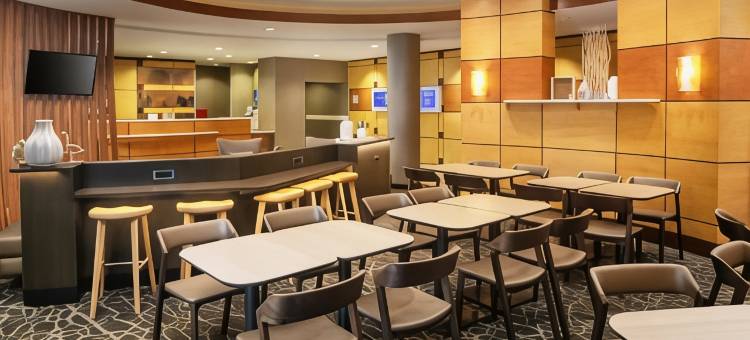 萨凡纳I-95号南万豪SpringHill酒店(SpringHill Suites Savannah I-95 South)图片