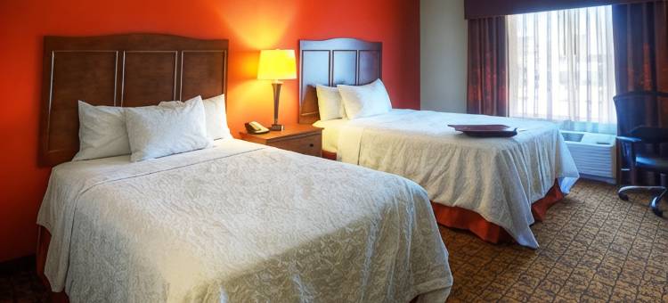 迈克艾伦欢朋酒店(Hampton Inn & Suites McAllen)图片