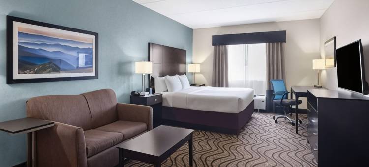 诺克斯维尔机场拉昆塔温德姆套房酒店(La Quinta Inn & Suites by Wyndham Knoxville Airport)图片