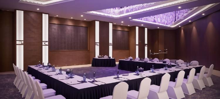 马斯喀特皇家郁金香酒店(Royal Tulip Muscat)图片