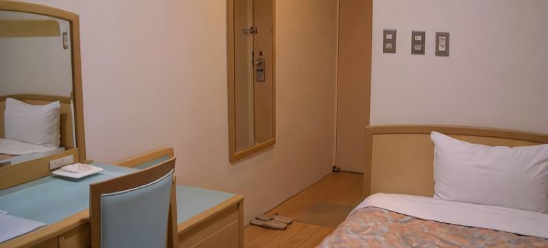 松山城市酒店(Matsuyama City Hotel)图片