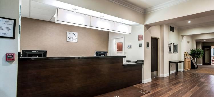 安眠套房酒店(Sleep Inn & Suites)图片