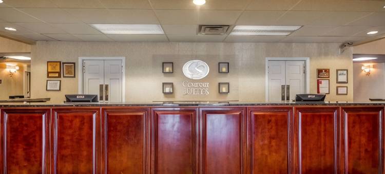 阿普尔顿机场舒适套房酒店(Comfort Suites Appleton Airport)图片