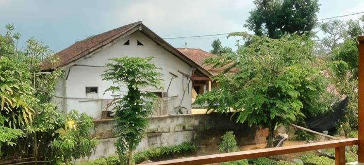 Bromo Stay Hostel图片