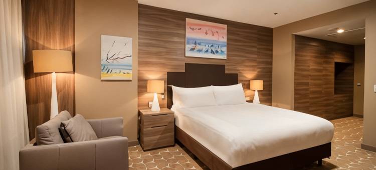 安卡拉因瑟克希尔顿逸林酒店(DoubleTree by Hilton Ankara Incek)图片