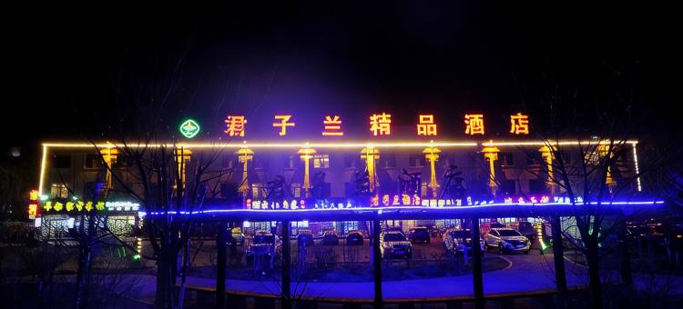 君子兰酒店(包头装备园区店)图片