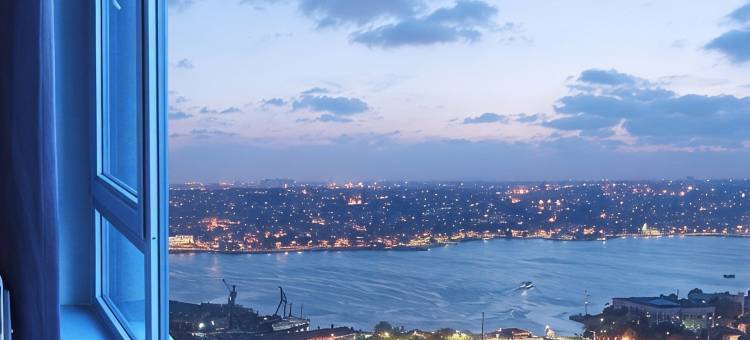 马尔马拉佩拉酒店(The Marmara Pera)图片
