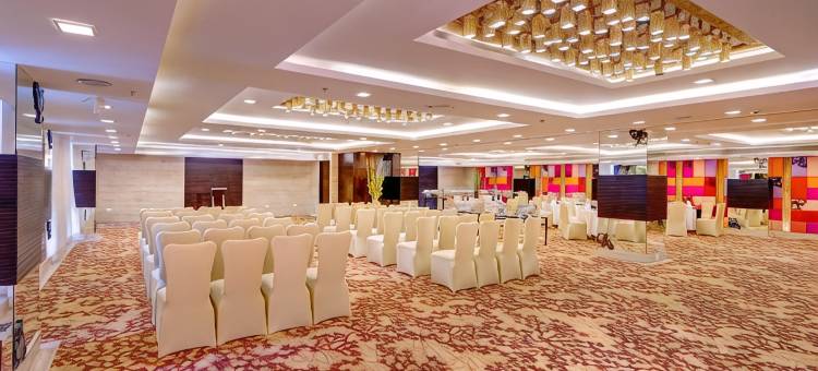 印度国际酒店(The Hotel Hindusthan International)图片