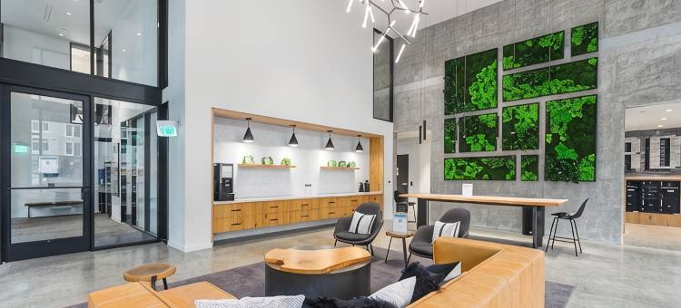 雷德蒙德核心区的开放式阁楼 - 92步行分数(Open Loft in Redmond Core - 92 Walkscore!)图片
