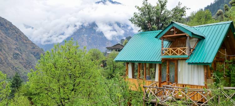 Himalayan Abode Tree House图片