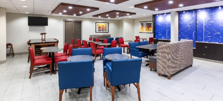 智选假日套房酒店硫(查尔斯湖) by IHG(Holiday Inn Express & Suites Sulphur (Lake Charles) by IHG)图片