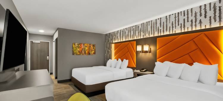 莱克星顿 - 乔治敦75号州际公路欢朋酒店(Hampton Inn Lexington/Georgetown)图片