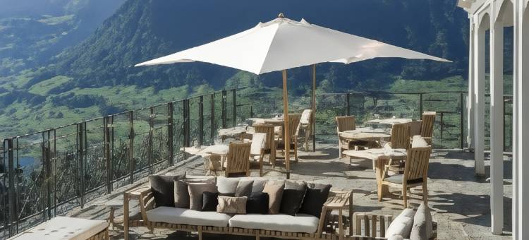 霍尼格别墅(Hotel Villa Honegg)图片