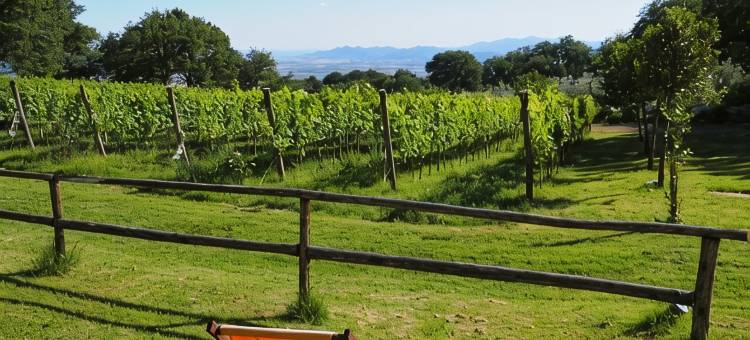 瓦尔朵尼卡酒厂葡萄园别墅酒店(Valdonica Winery Fine Dine & Wine Hotel)图片