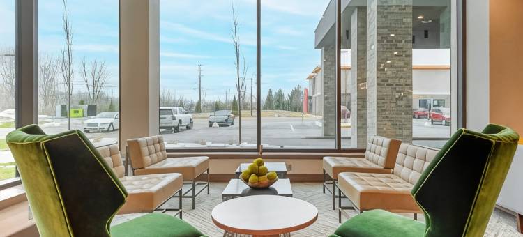 谢尔比镇-底特律坎布里亚酒店(Cambria Hotel Detroit-Shelby Township)图片