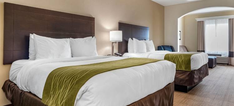 斯科特 - 西拉法叶舒适套房酒店(Comfort Inn & Suites Scott-West Lafayette)图片