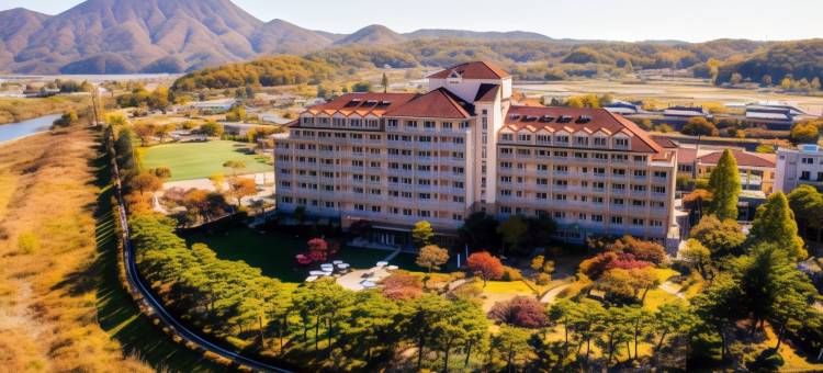 索诺BELLE 杨平郡酒店(Sono Belle Yangpyeong)图片