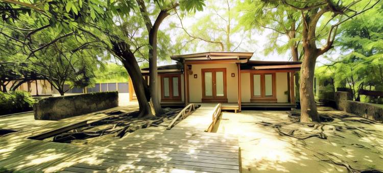 佛罗里达日本锦鲤花园的迷你小屋(Tiny House in Authentic Japanese Koi Garden in Florida)图片