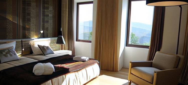 乡村昆塔昆塔涅斯酒店(Hotel Rural Quinta Das Quintães)图片