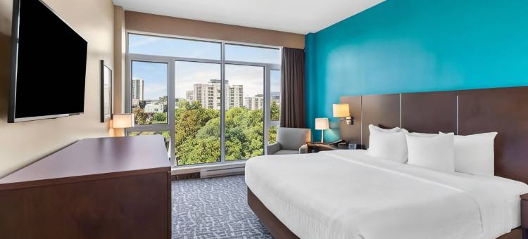 蒙特利尔贝斯特韦斯特优质酒店(Best Western Plus Hotel Montreal)图片