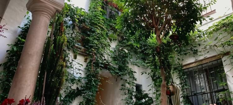 圣玛丽亚赫斯派德斯酒店(Casa de Huéspedes Santa Maria)图片