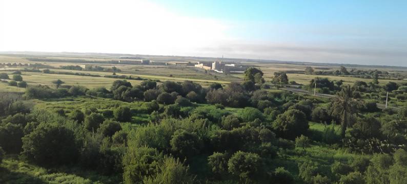 提兹尼特卡斯巴旅馆(Gite Kasbah Tiznit)图片