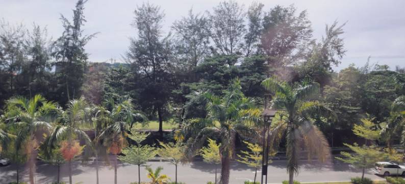 Homi Oasis at KK Times Square图片