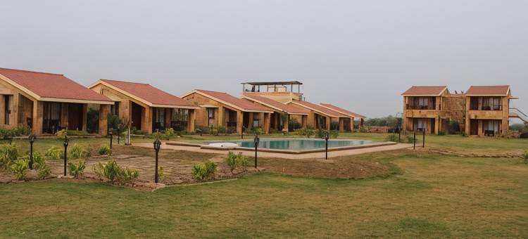 The Blackbuck Trails Velavadar图片