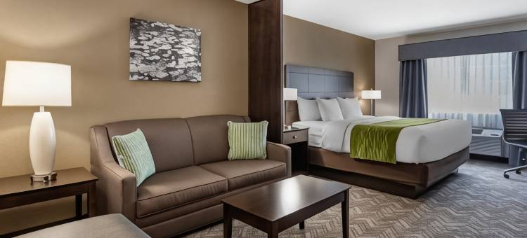 图拉丁-南奥斯威戈湖舒适套房酒店(Comfort Inn & Suites Tualatin - Lake Oswego South)图片