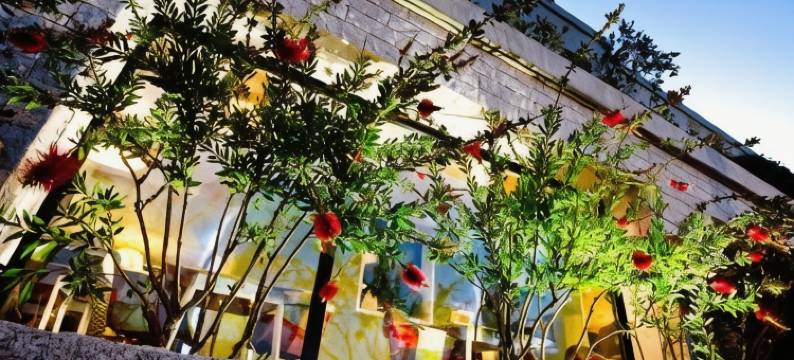 罗西酒店(Rossi Hôtel)图片