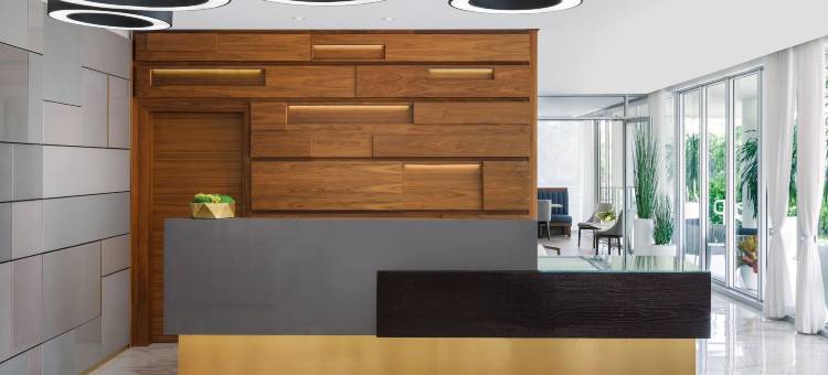 迈阿密港湾温德姆特莱普酒店(The Altair Hotel Bay Harbor Miami)图片