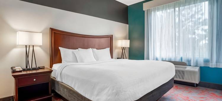 代弗尼贝斯特韦斯特优质套房酒店(Best Western Plus Daphne Inn  Suites)图片